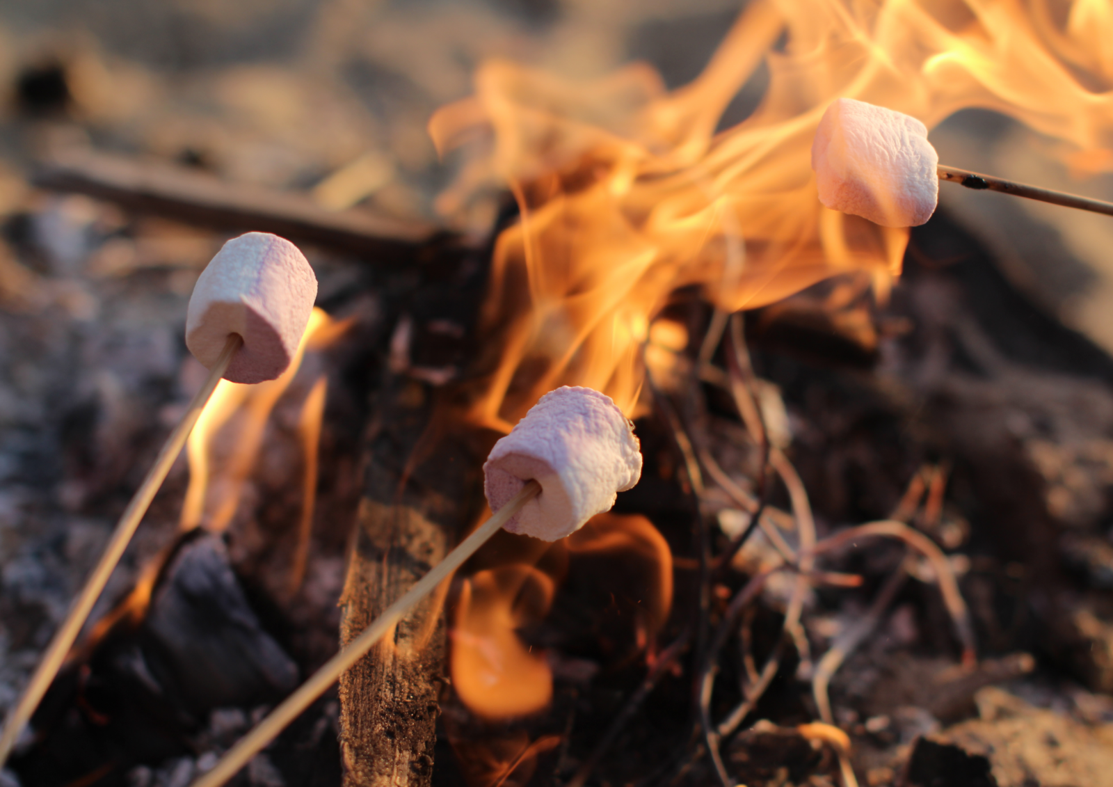 Kinderperspectief Camps